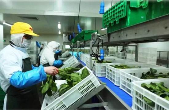 酒店凈化解決方案 酒店凈化解決方案